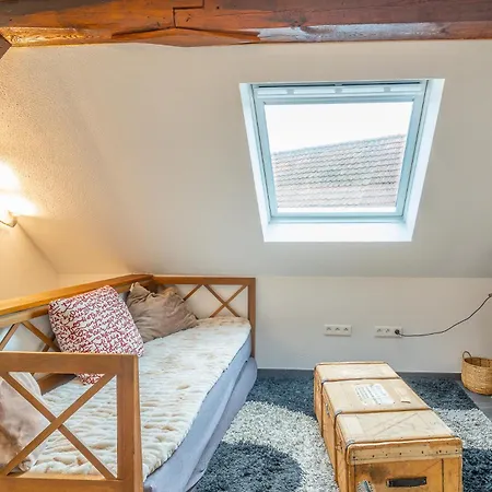 別荘 Typical Alsace House - Ideal For Groups And Families Dambach